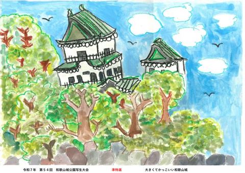 大きくてかっこいい和歌山城